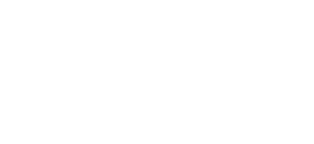 JV Academy